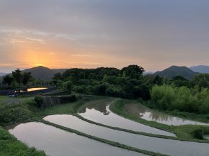 IMG_1546